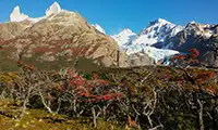 Glaciar Piedras Blancas visto desde el sendero del Fitz Roy.